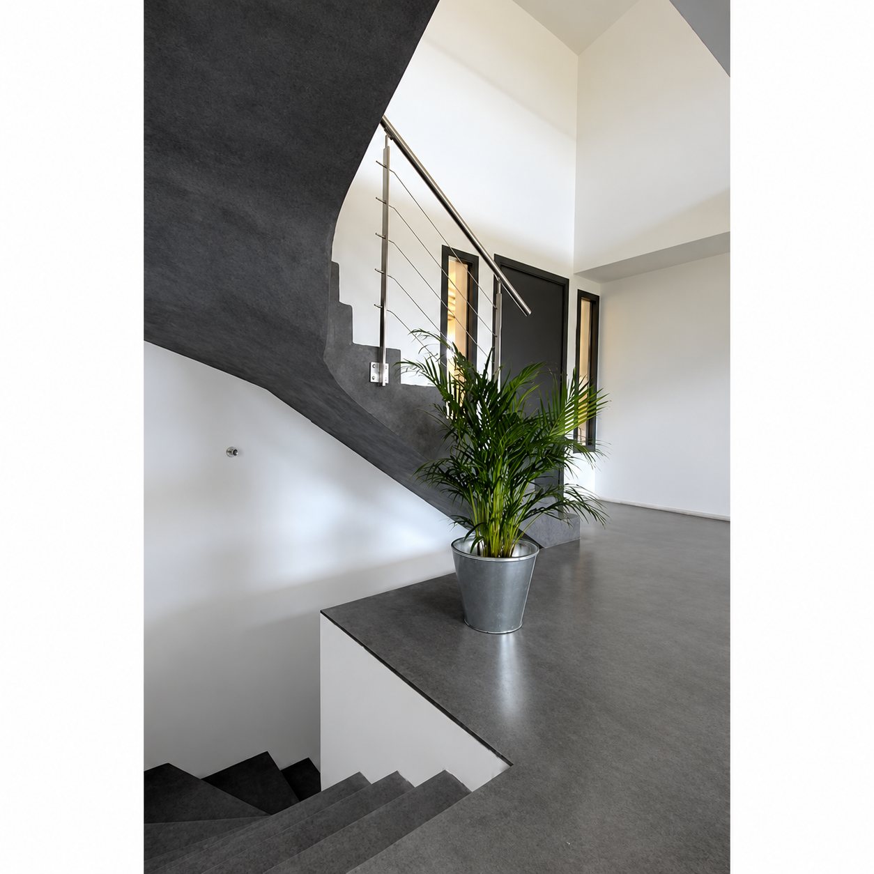 Un hall moderne aux murs et au sol en béton ciré gris, avec un escalier courbe à rambarde en câbles inox et un palmier en pot métallique.